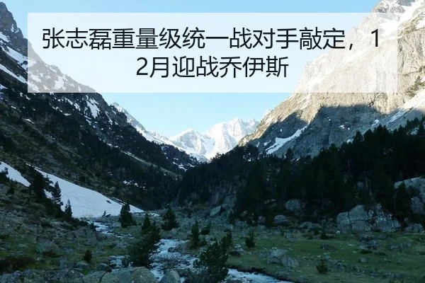 张志磊重量级统一战对手敲定，12月迎战乔伊斯